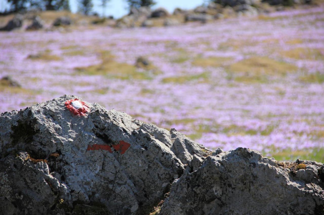 Velika Planina Chalet Slovenka Stahovica Dış mekan fotoğraf