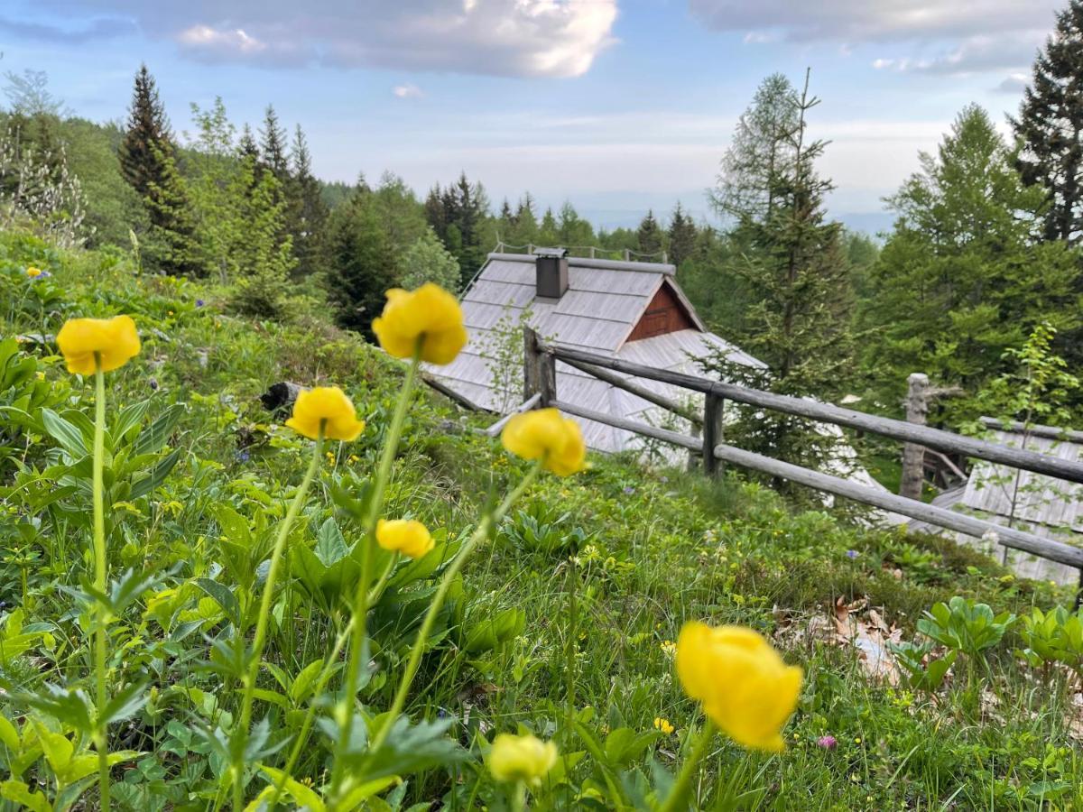 Velika Planina Chalet Slovenka Stahovica Dış mekan fotoğraf