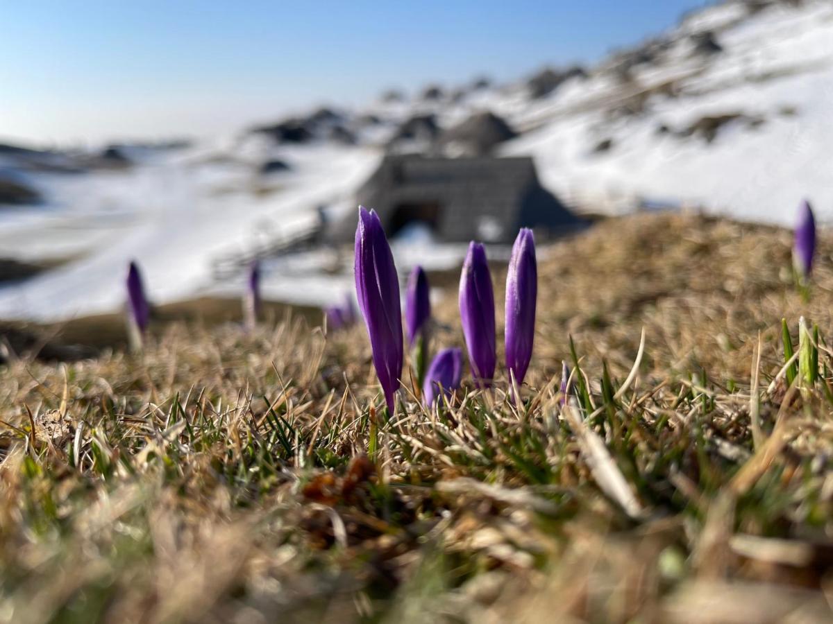 Velika Planina Chalet Slovenka Stahovica Dış mekan fotoğraf